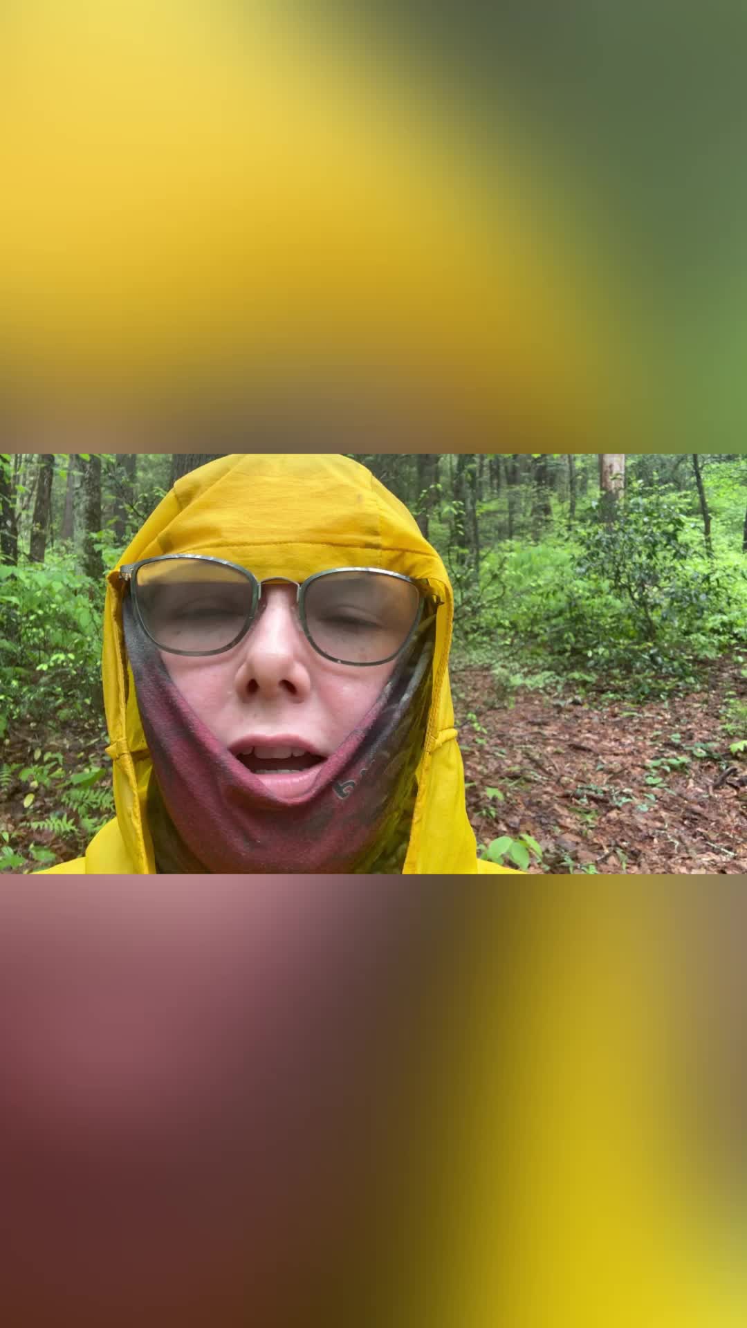@moremopig