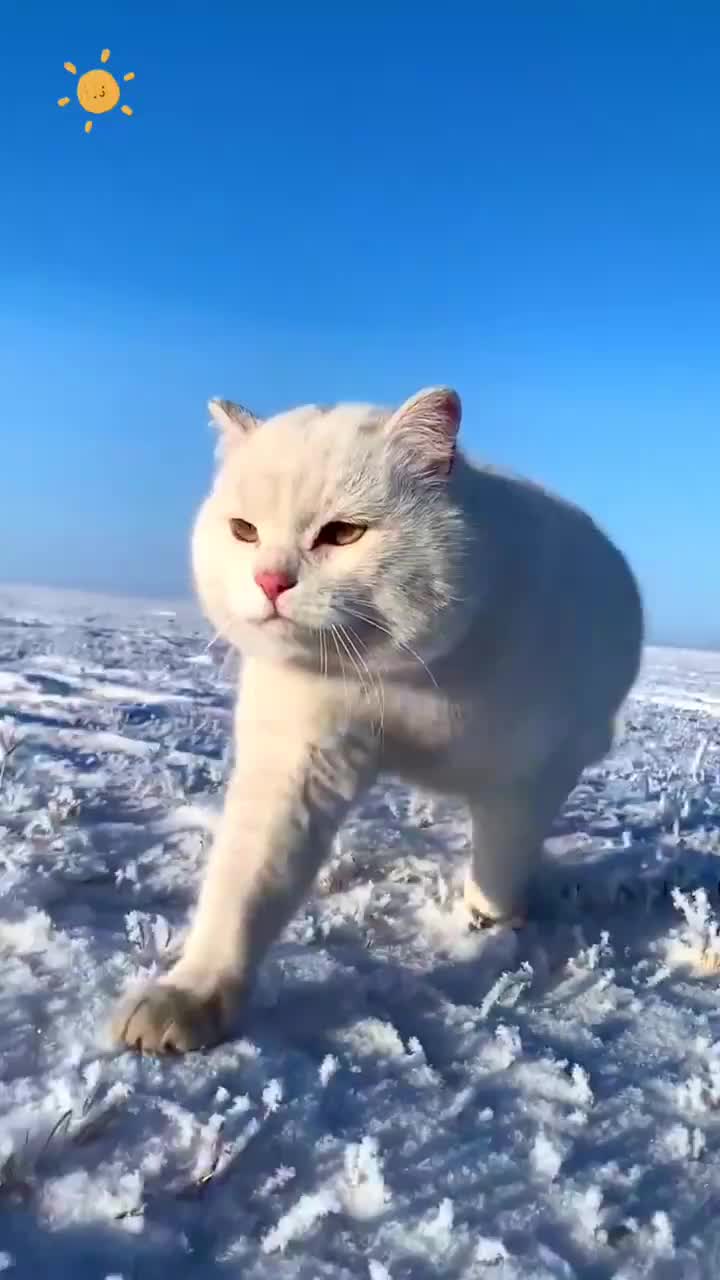 @user11009811448656