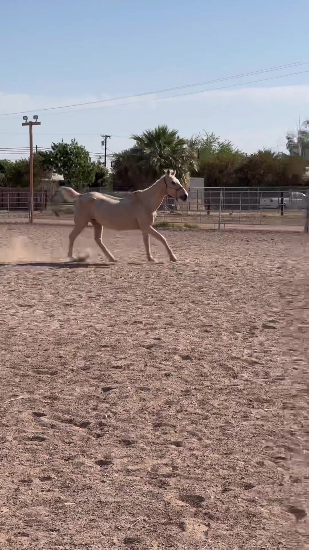 @Hooves ‘n Hearts Equine Rescue