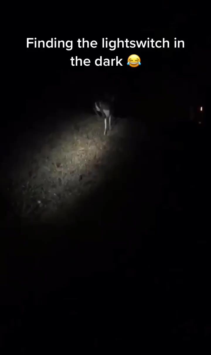 @Gnarlyhorn