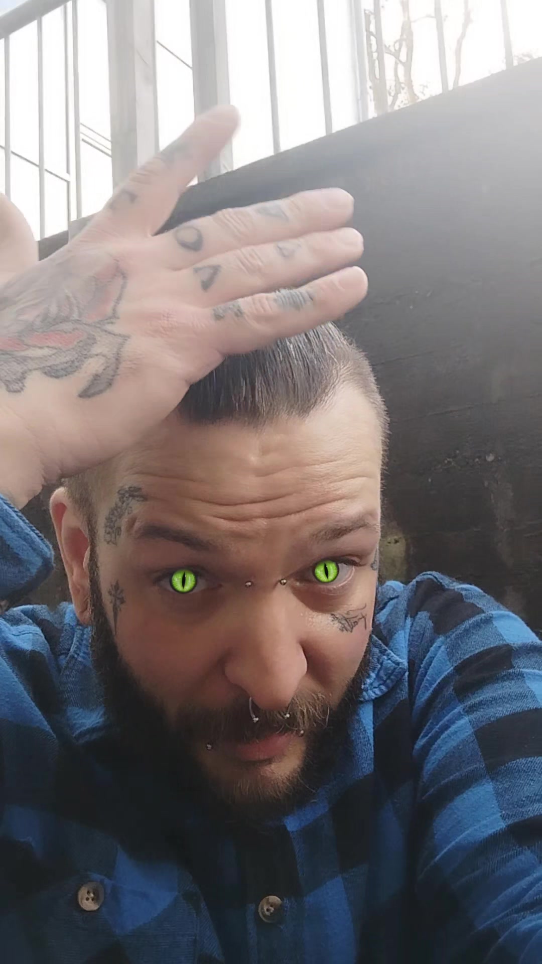@Mycrazy🤪 animal💚🕷️ world🌏