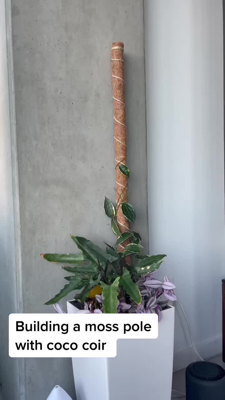 @The_Plant_Blogger