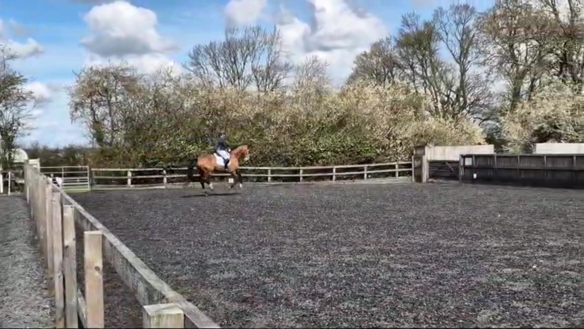 @A_G_Dressage