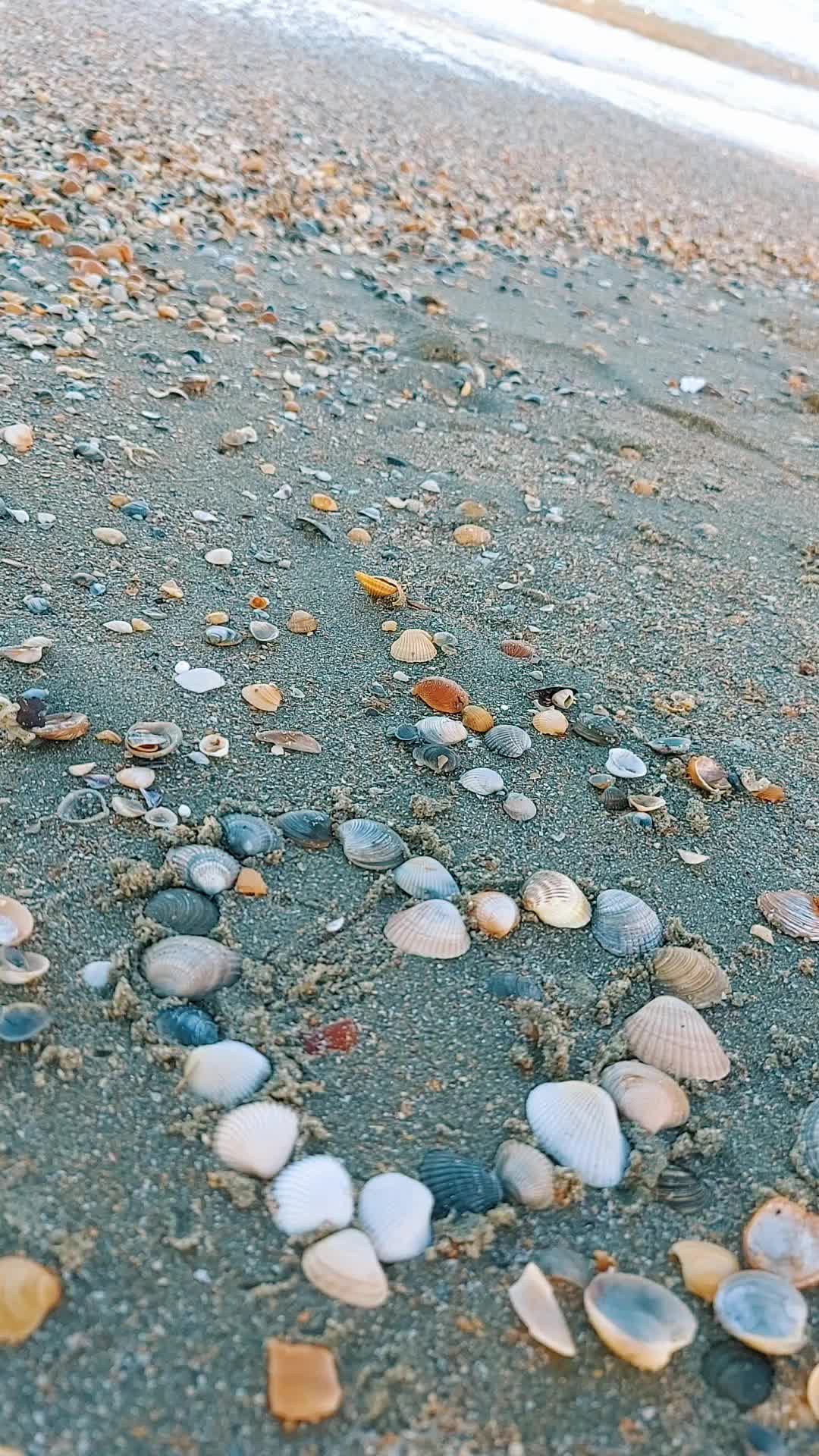 @Laura ❤️