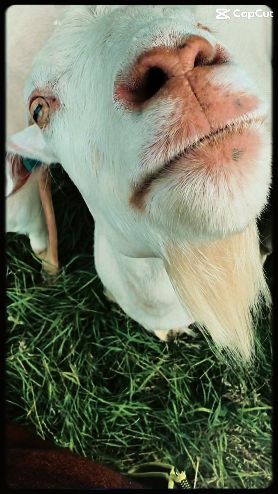 @Arnprior Farm