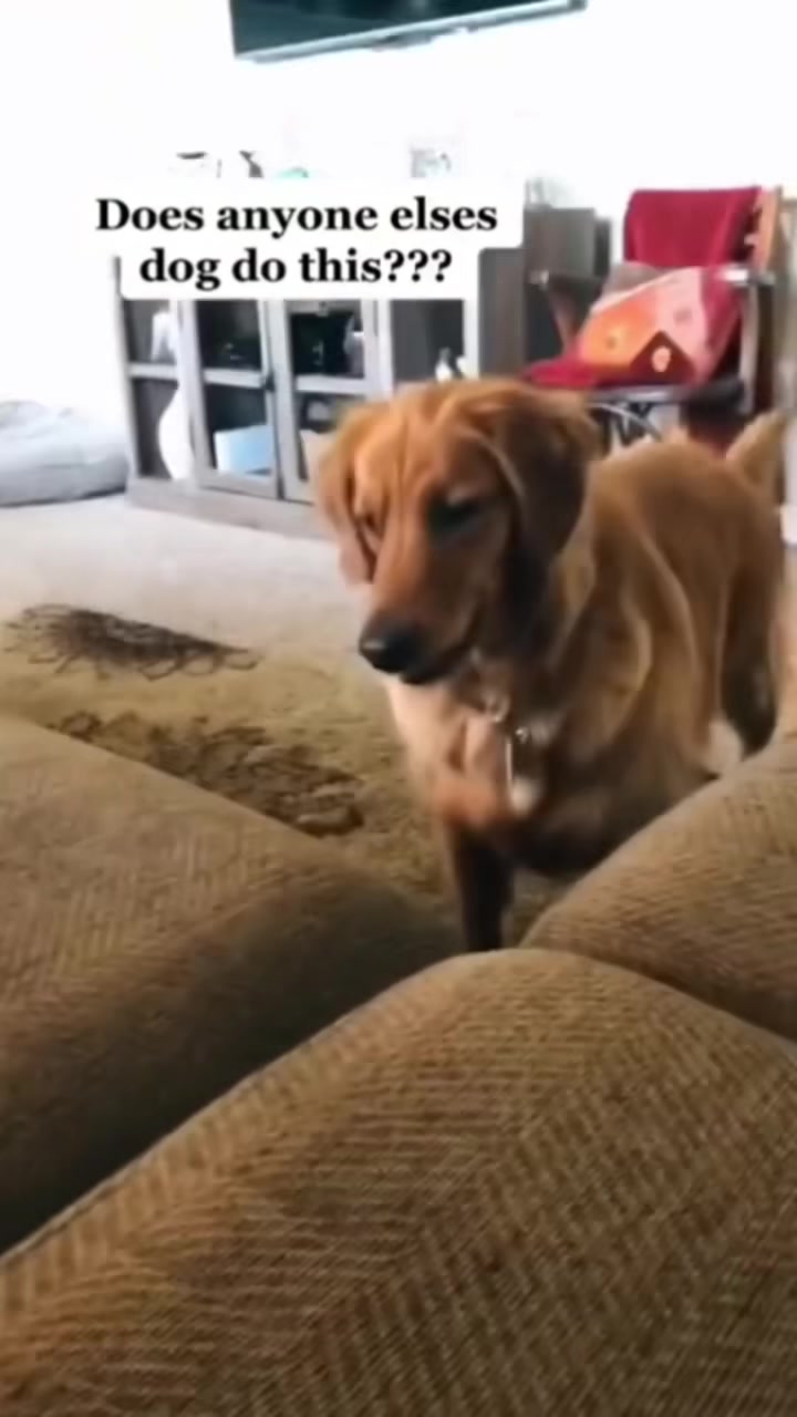 @Houseday007