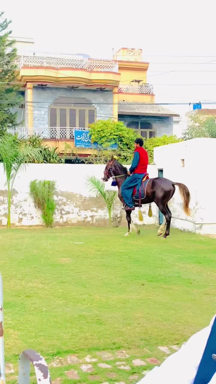 @Furqan gujjar