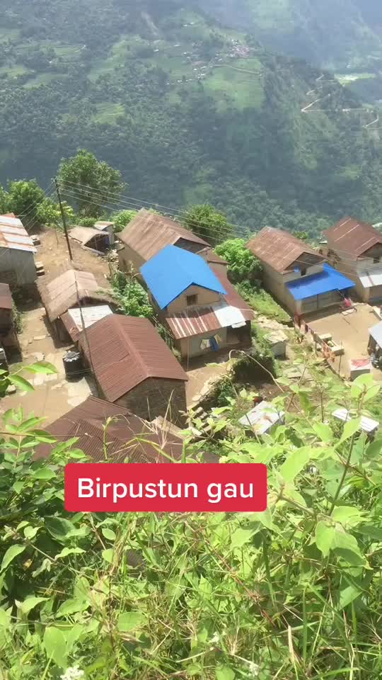 @श्रीजा💚