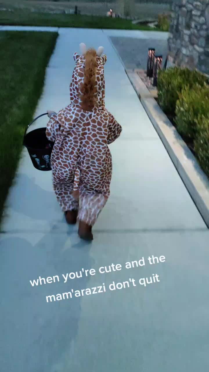 @Ariel Palmer