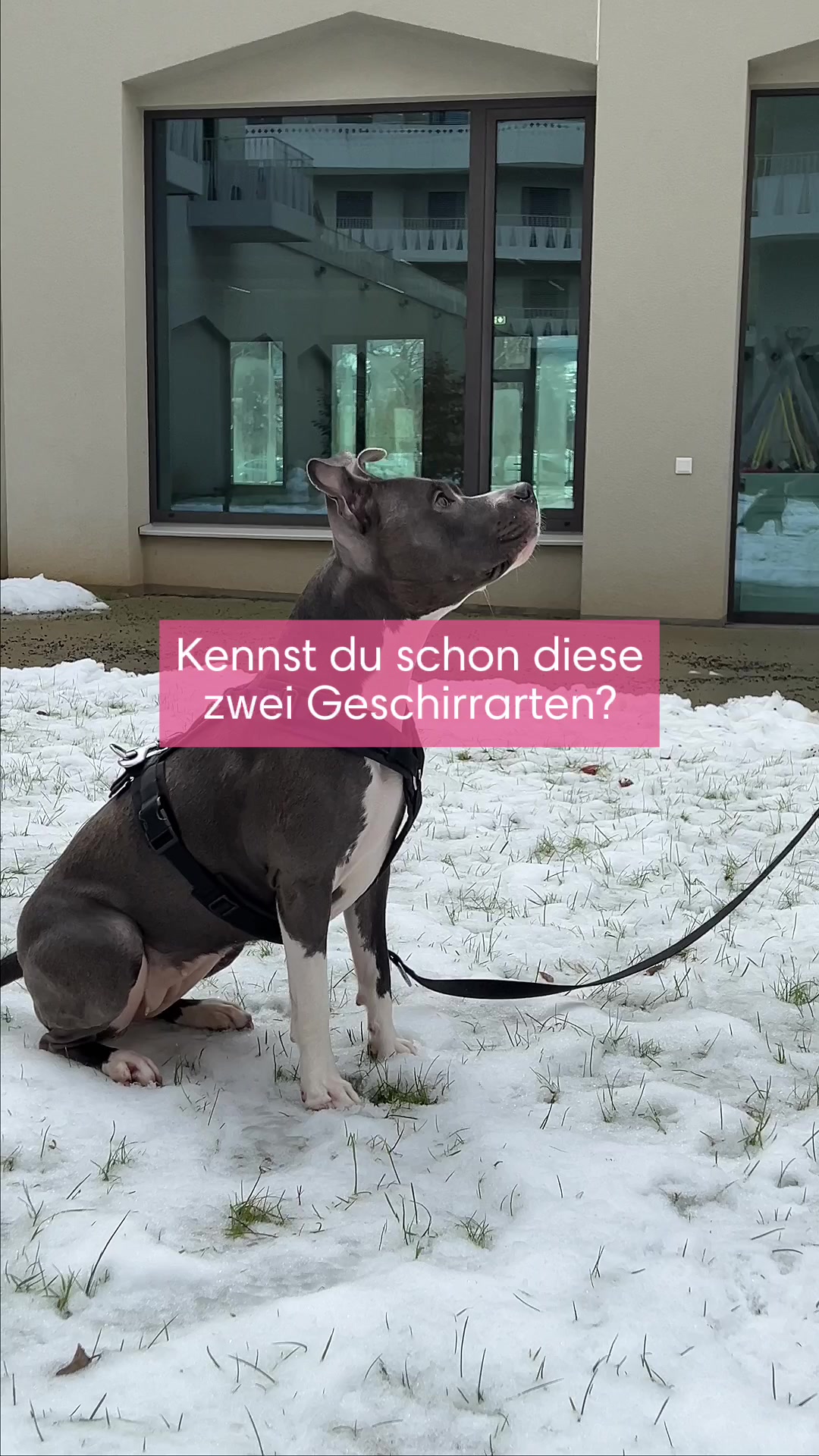 @diefutterbar