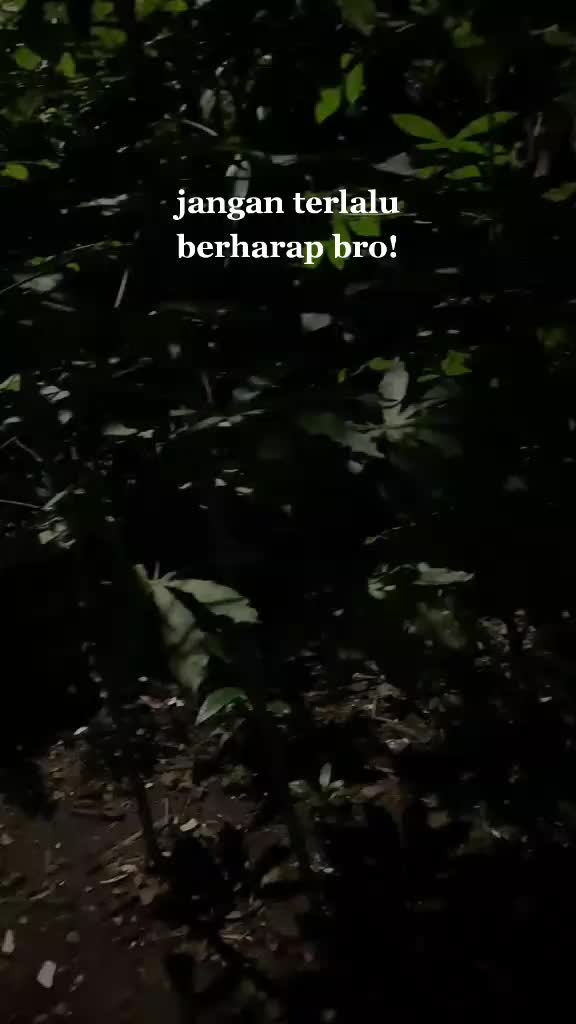 @kratosz.