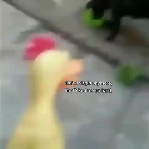 @saii