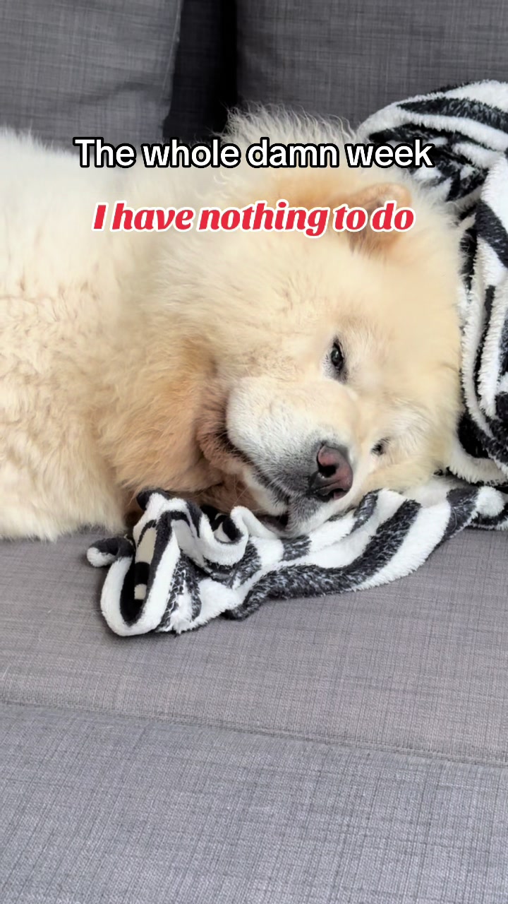 @Mochi