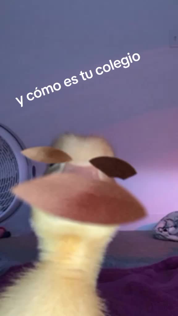 @Dayre