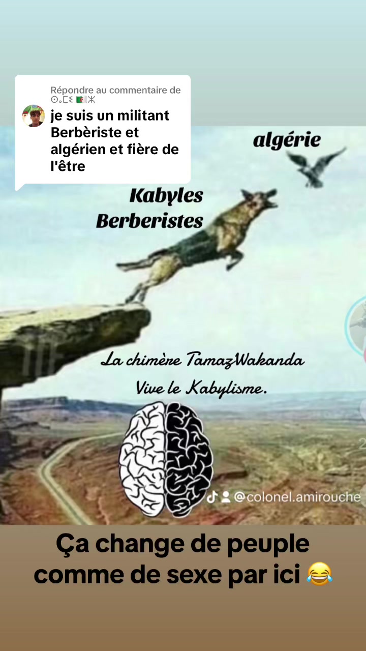 @Colonel Amirouche