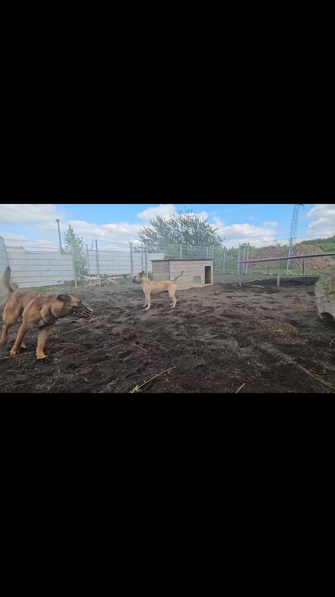 @Hundeschule happy future dogs