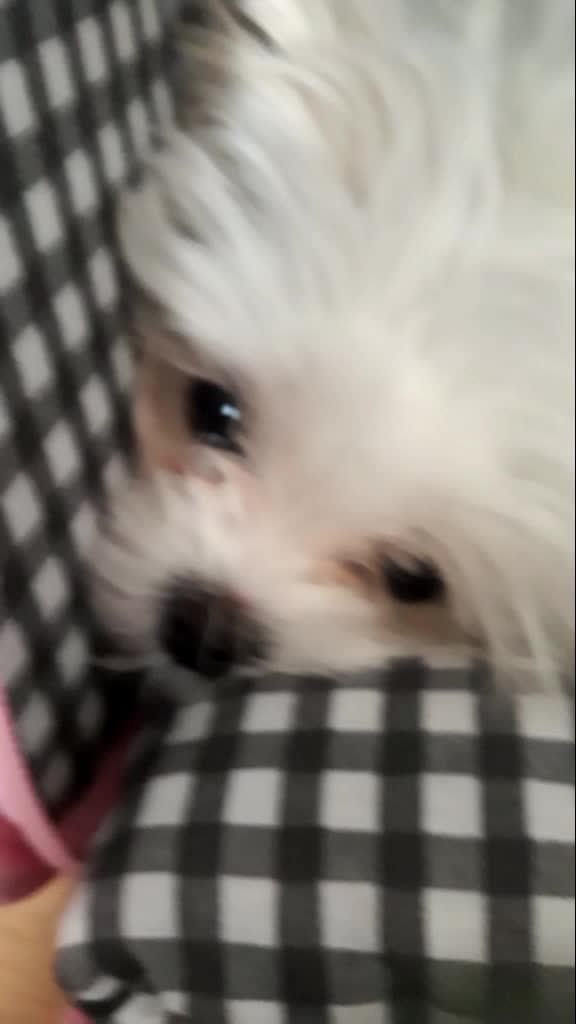 @구름이의 일상