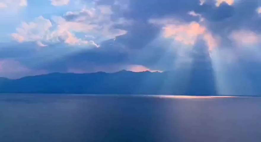 @易阳