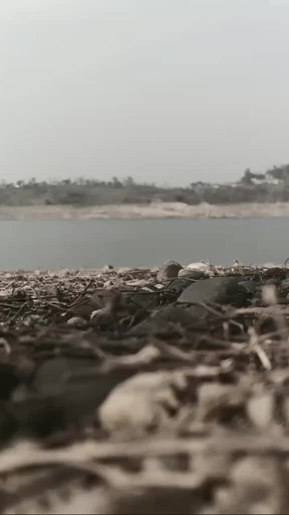 @Tarun23__