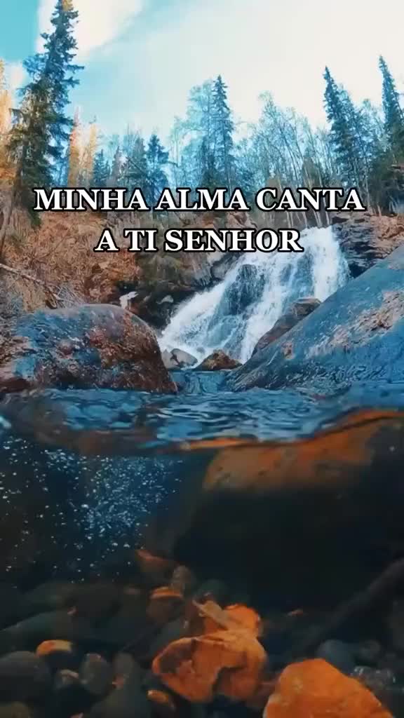 @👑@Justiça 💎🦅🌻