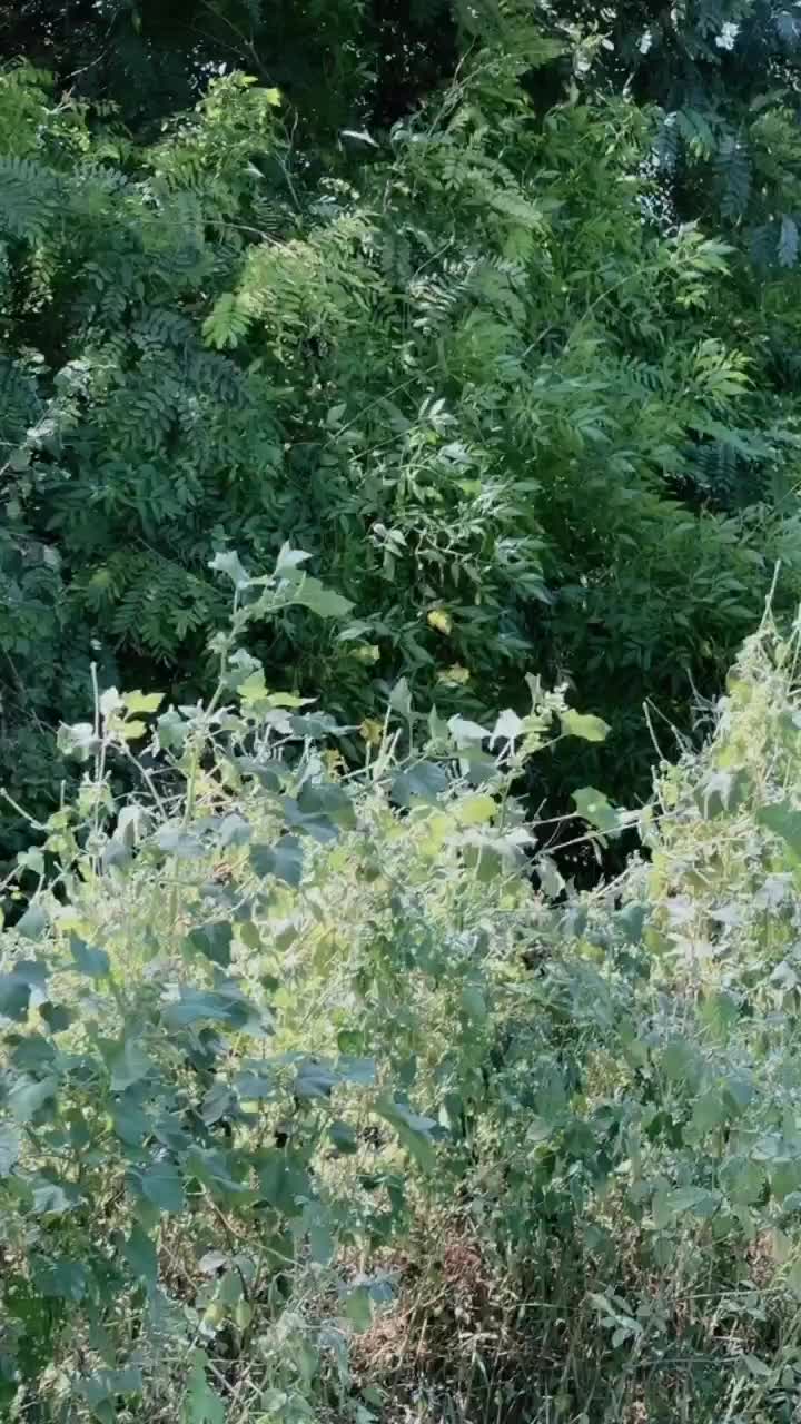 @ishika.44