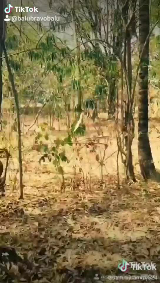 @Balu Subramaniam
