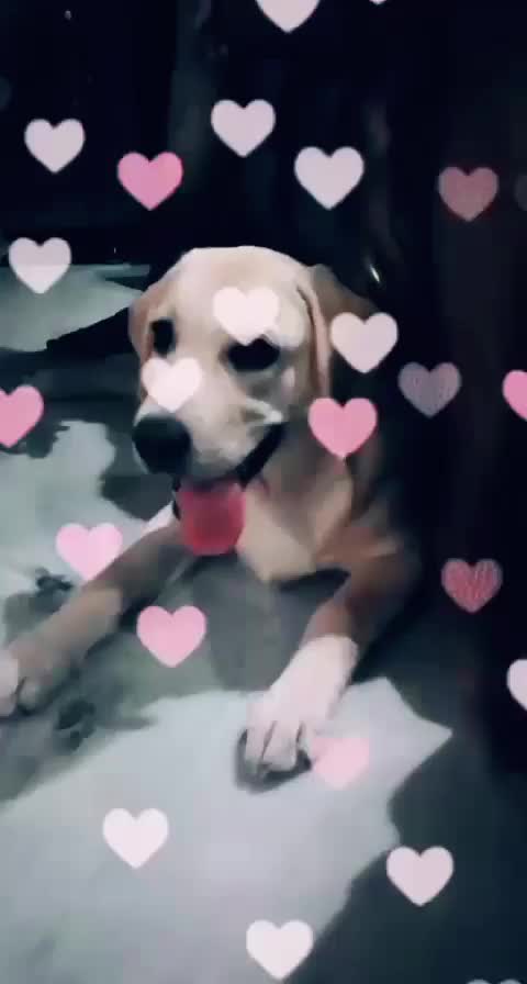 @Manisha Singh