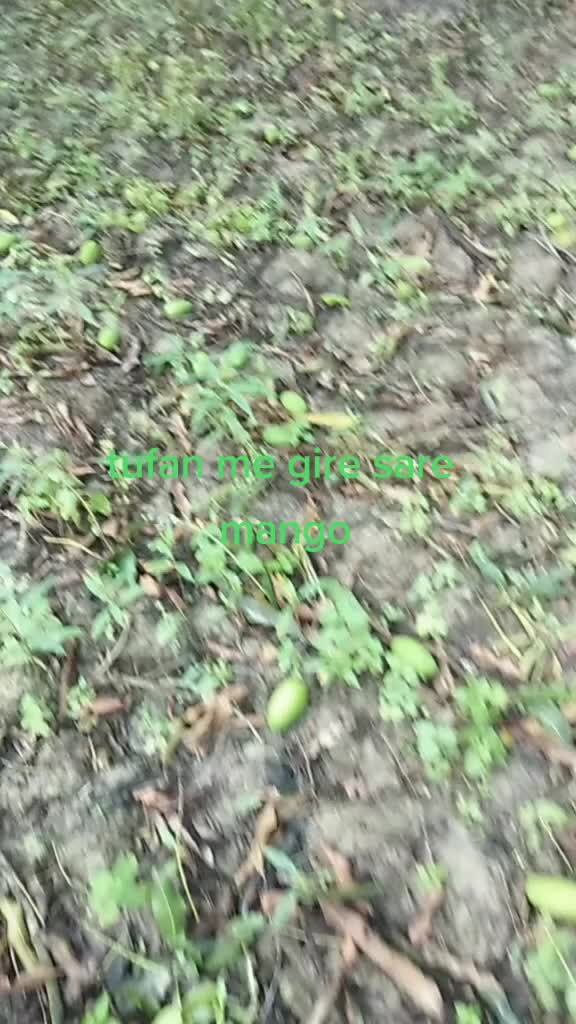 @thakur_shilpi_singh7