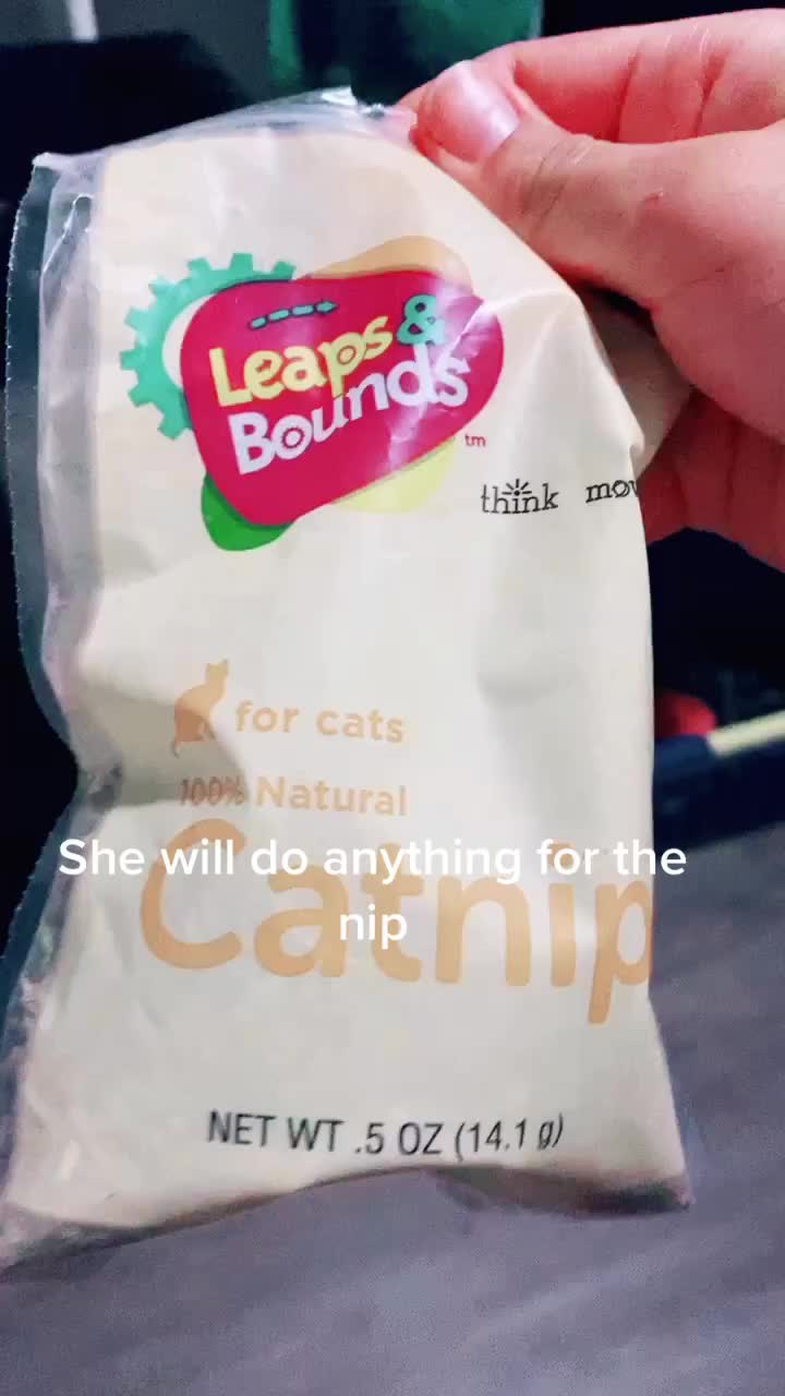 @Jennybear