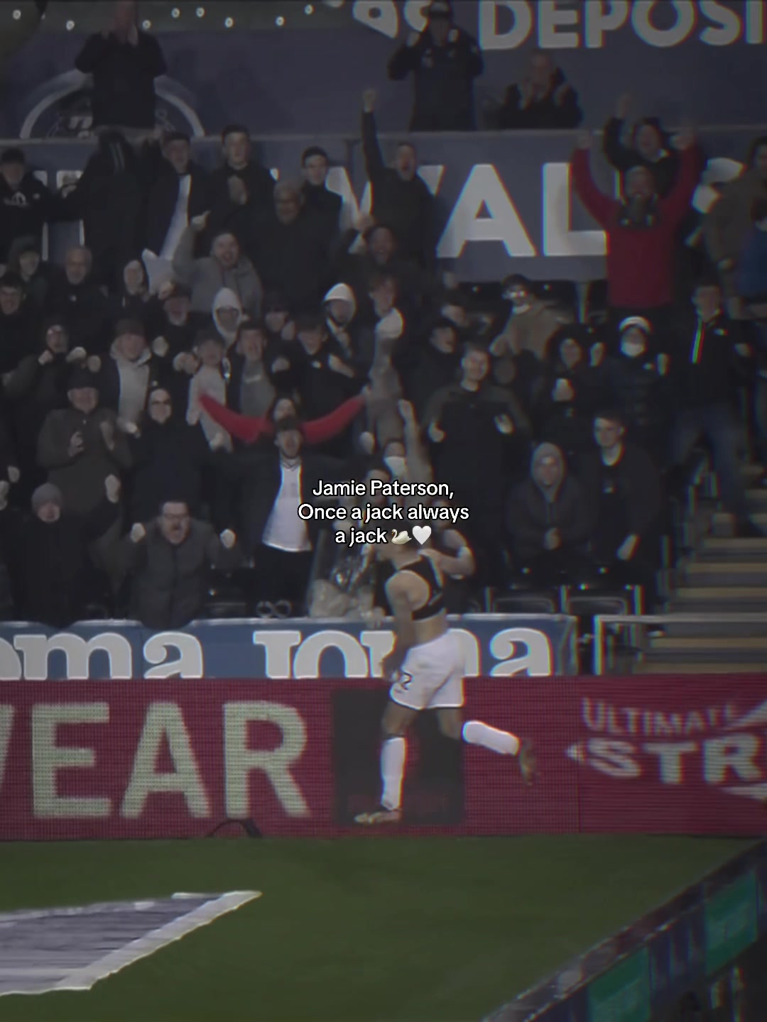 @Swansea City AFC 🦢