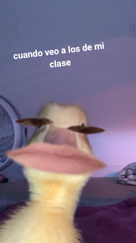 @Dayre