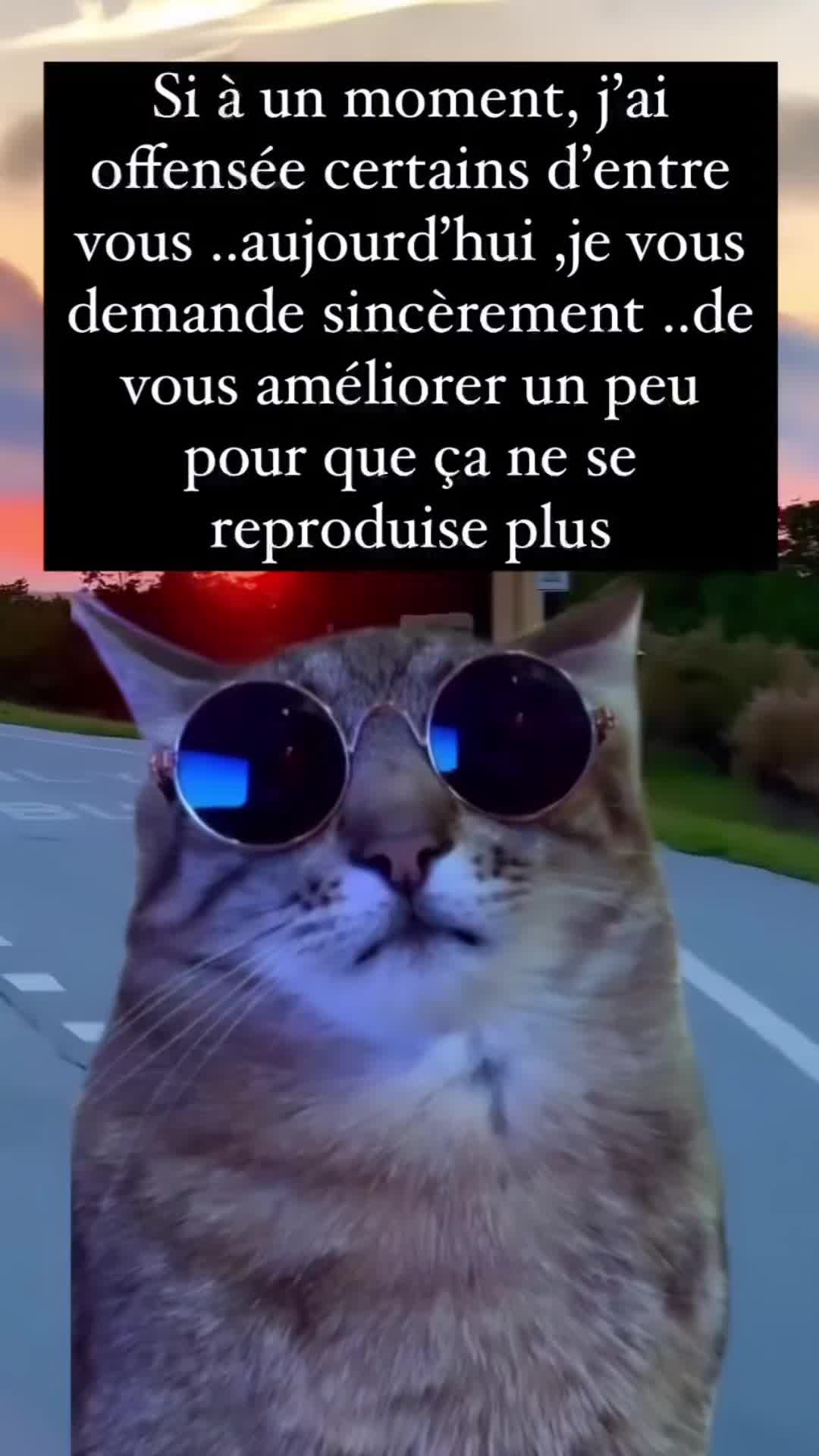 @CARO 2.0