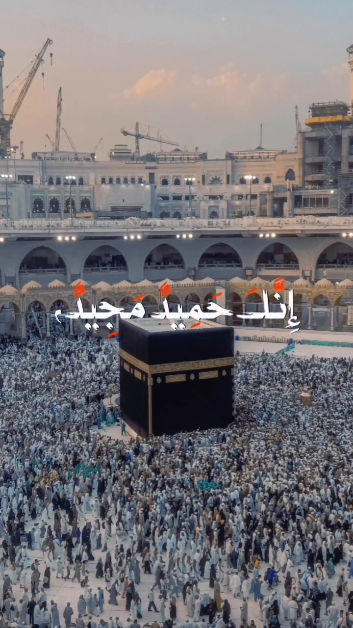 @TikTok videos