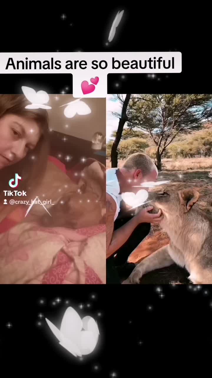 @my girl 87