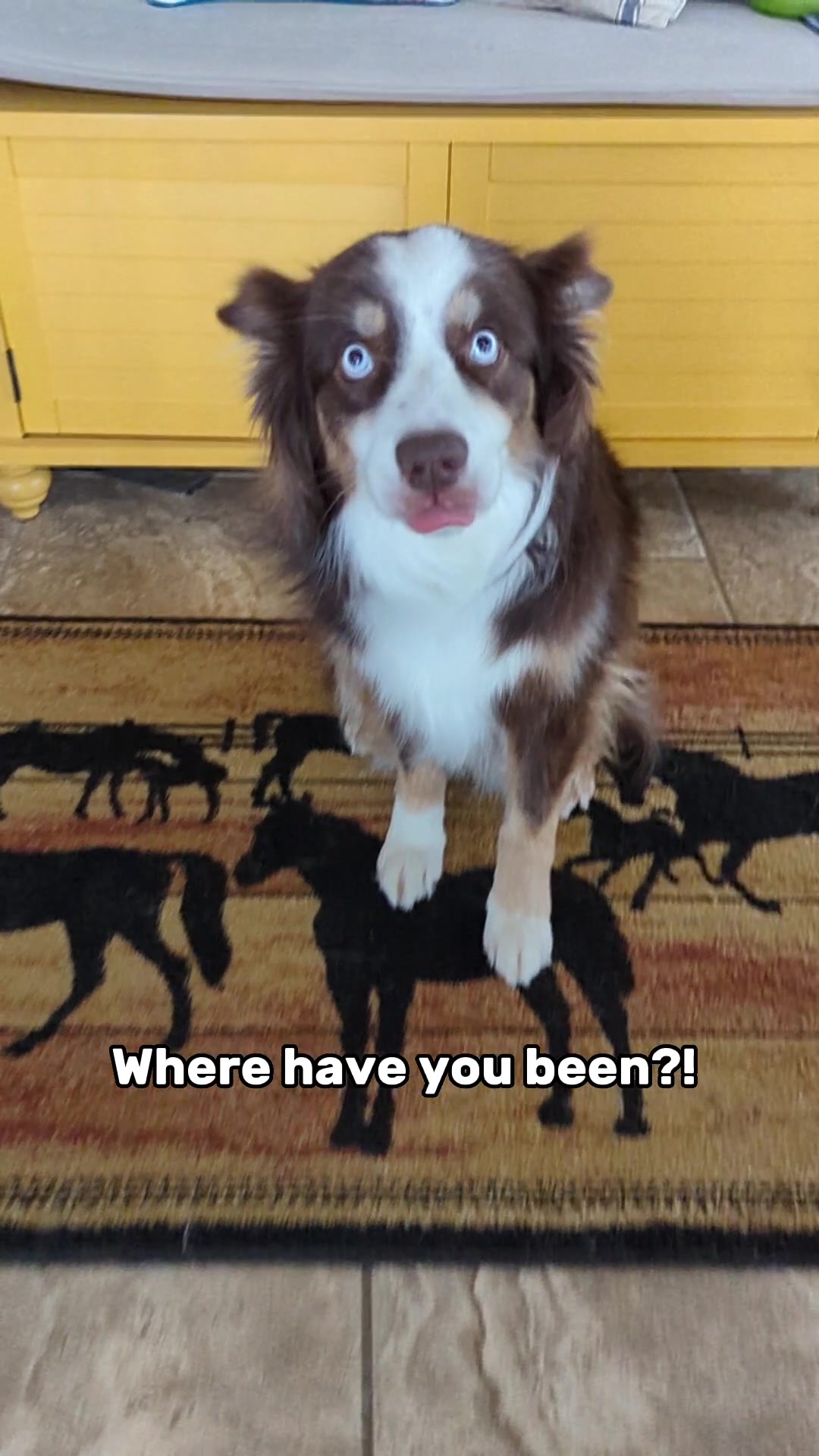 @BasicallyBandit