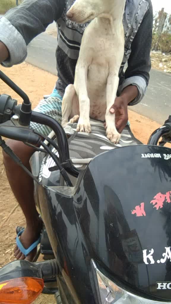 @Silambu Valli