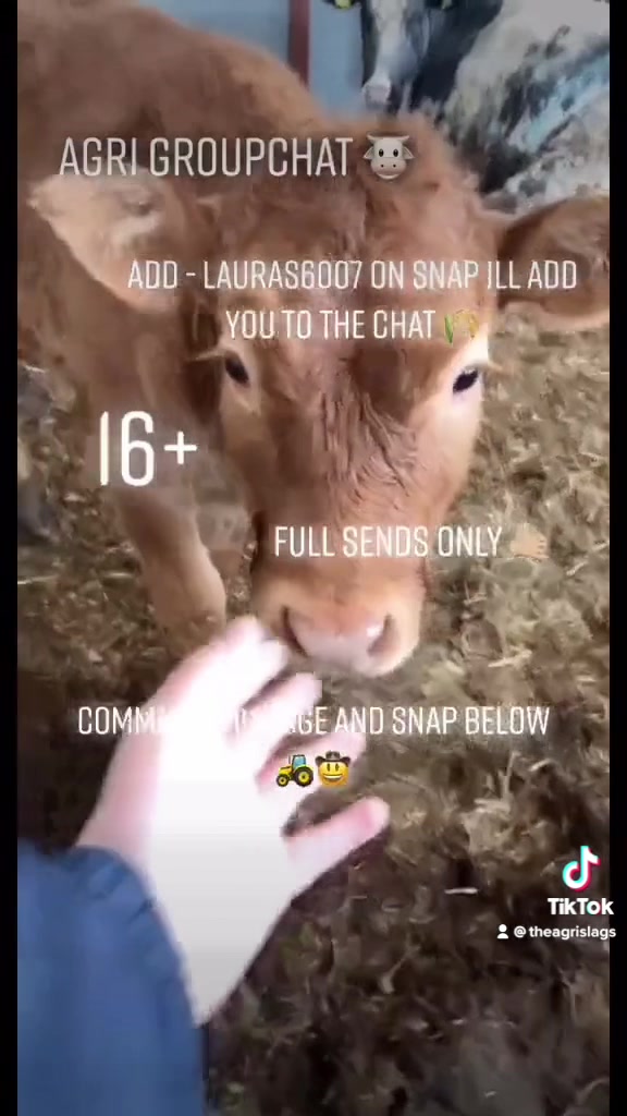 @AGRI SLAGS