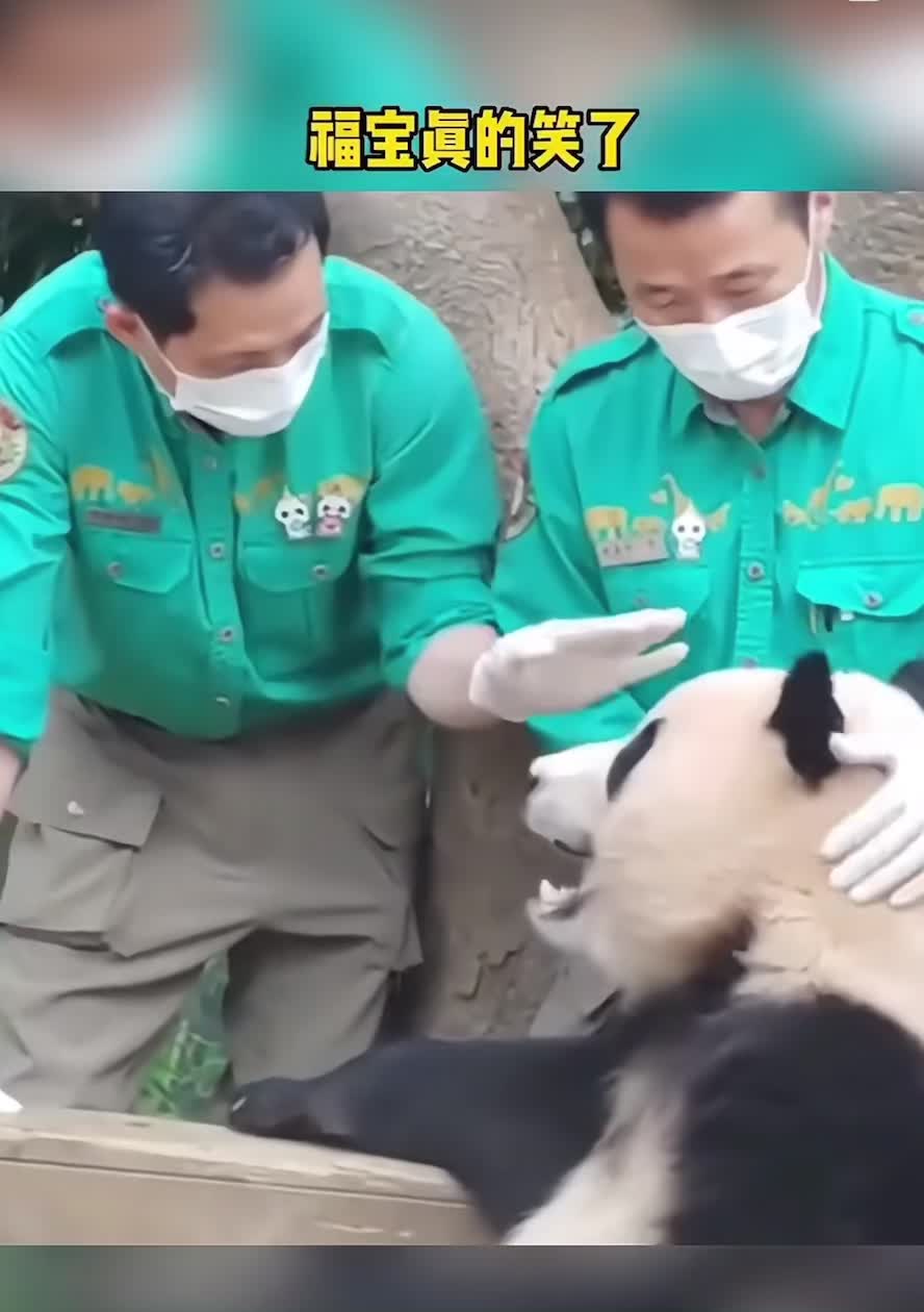 @福公主💕福豬豬💕 🍎 🥕 🐼 🎋🍀