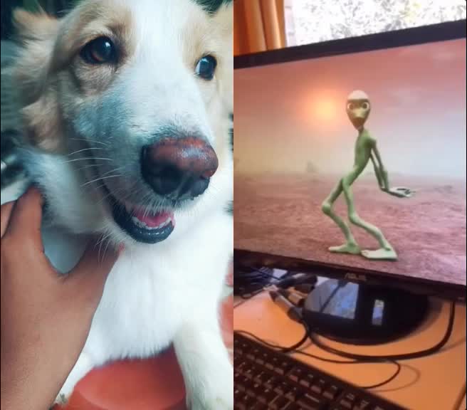 @ⓑⓤⓝⓝⓨ