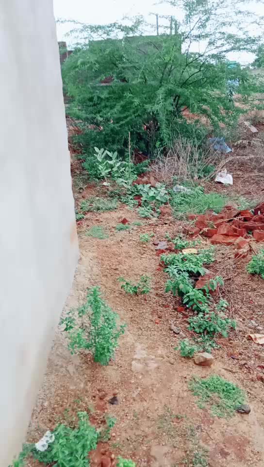@L.J.k