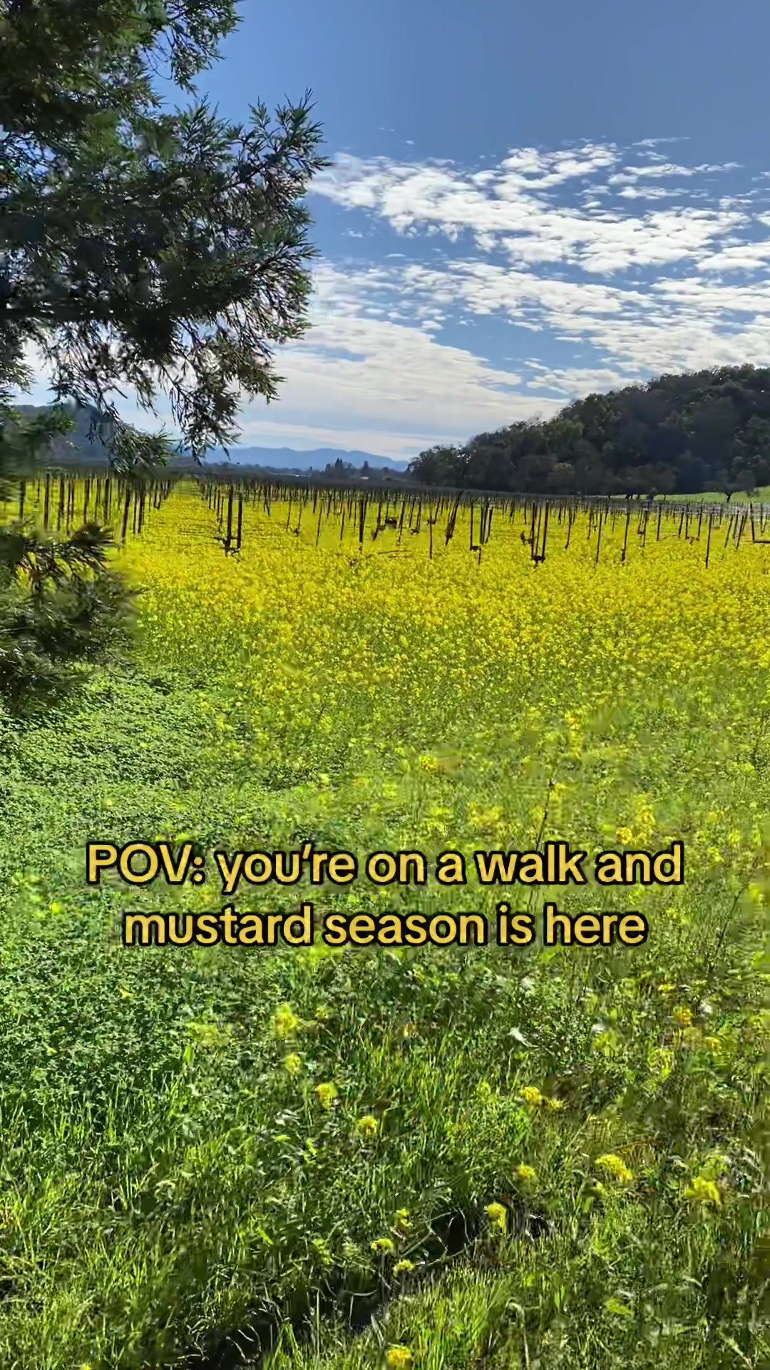 @Clouds