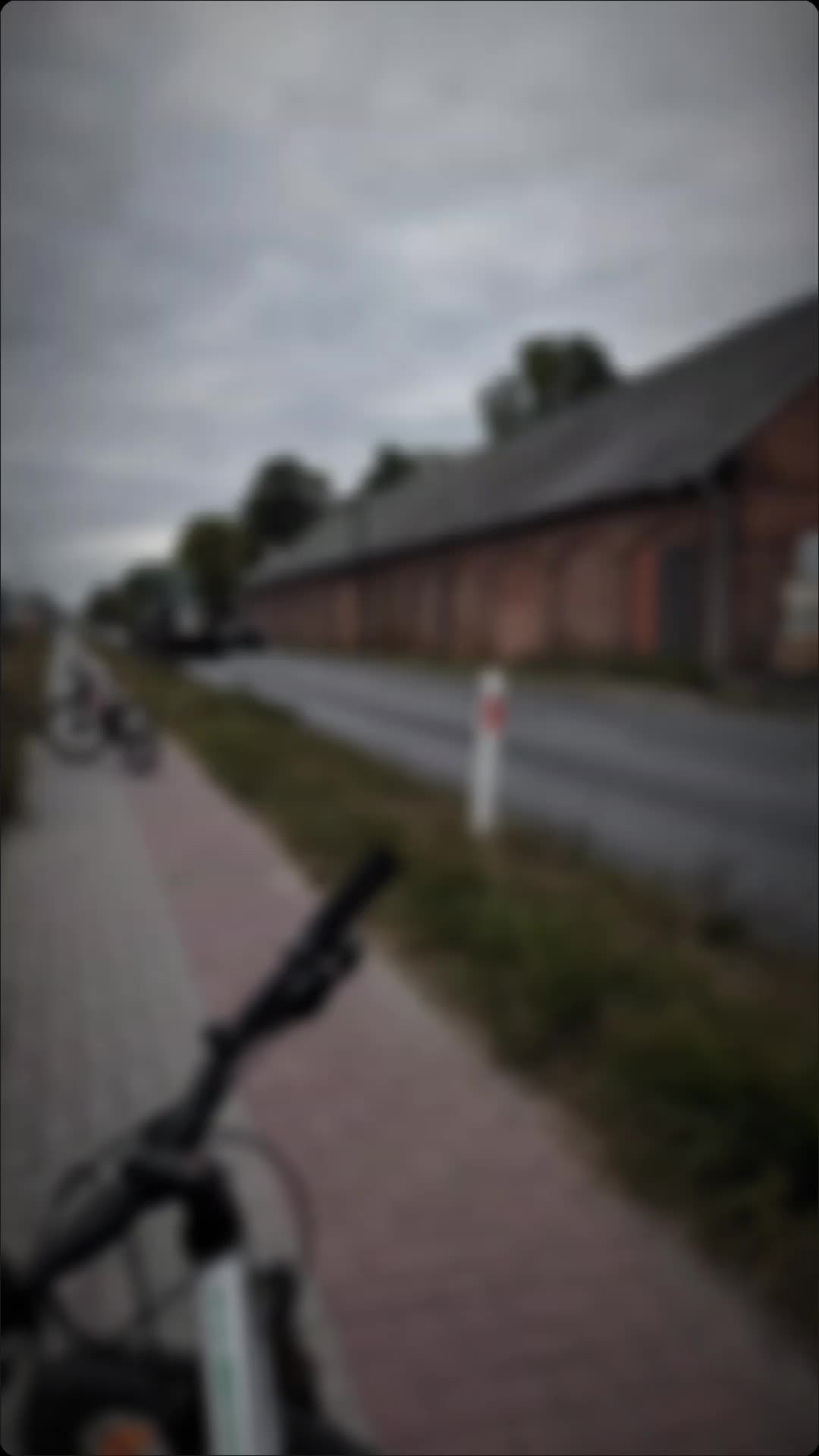 @TRB_Miciu