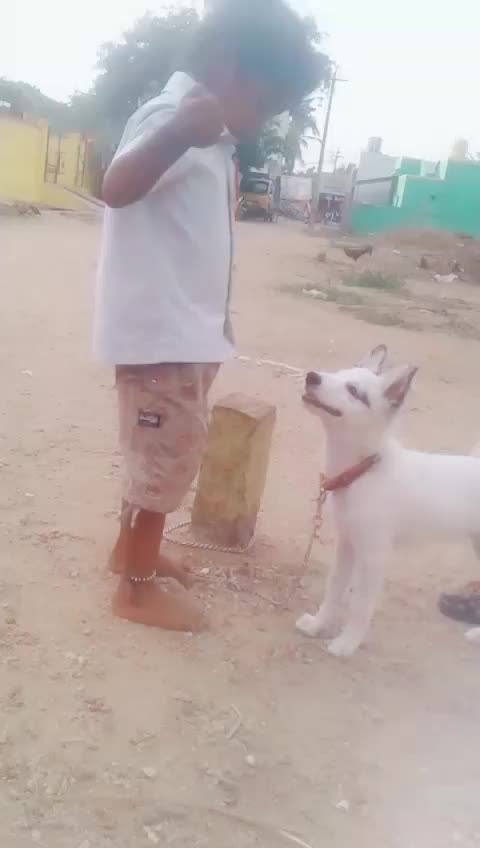 @vikram333