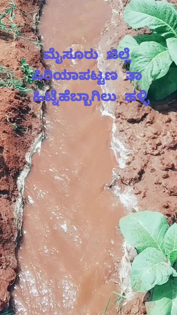 @Shiva Shankarhr