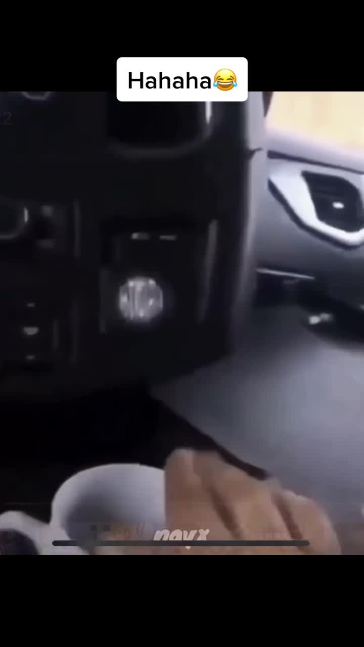 @When_animals_attack