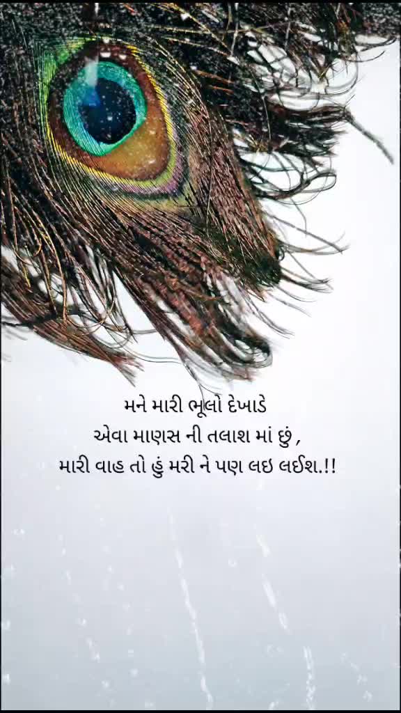 @Vishank Patel💕