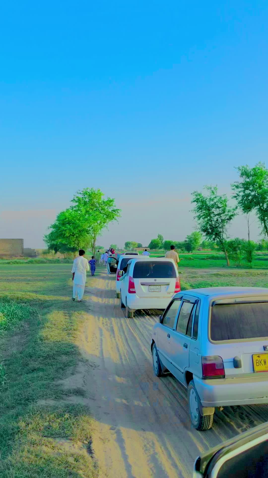 @Safi Zi