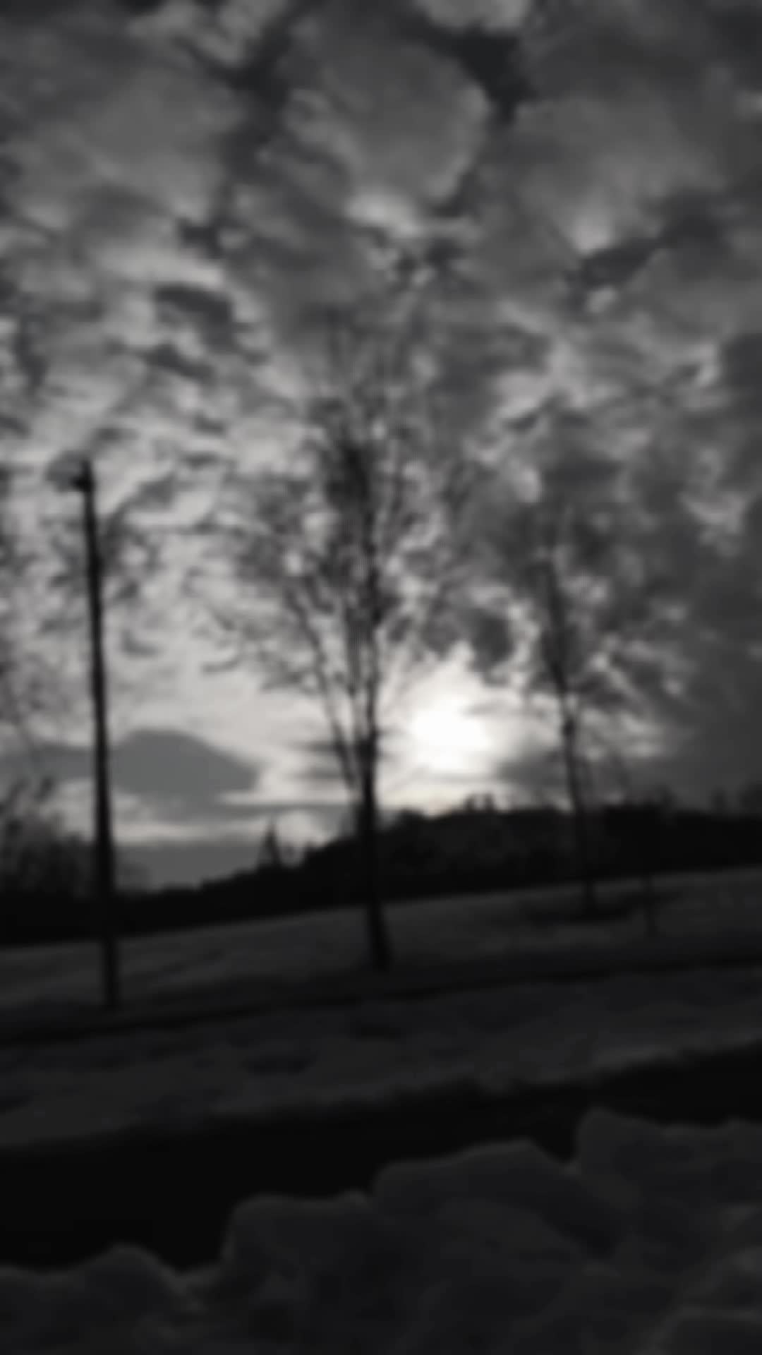 @markoje