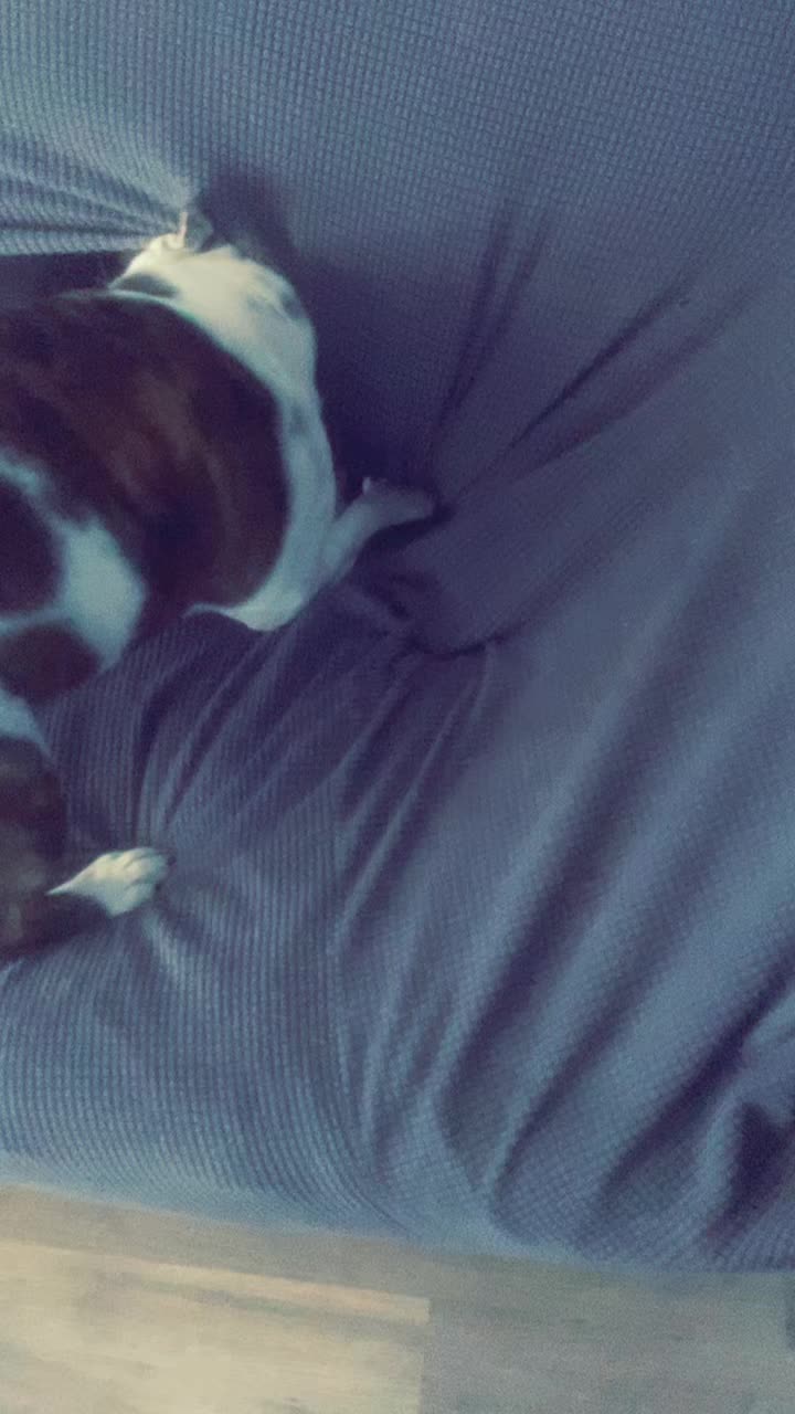 @nalathebulldog20