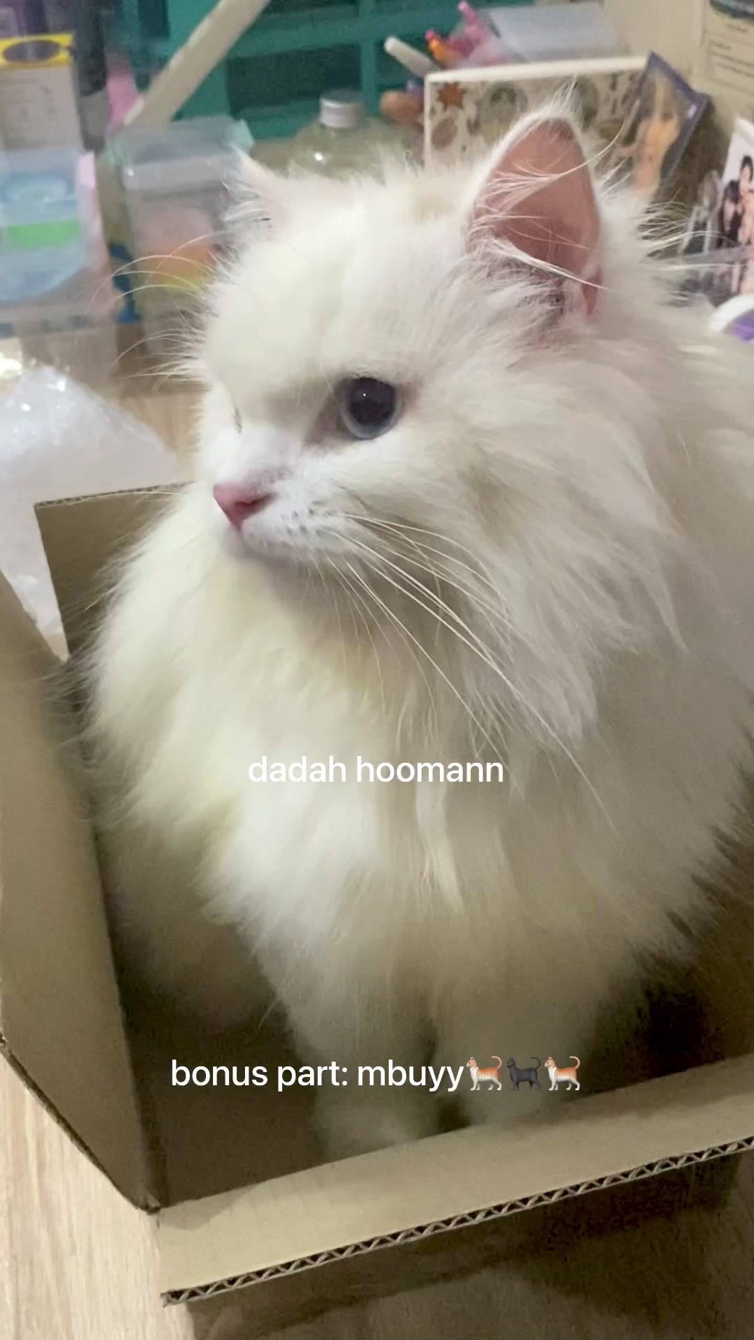 @tan
